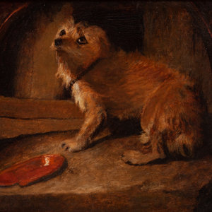 Appraisal: A th Century English School Portrait of a Dog unsigned