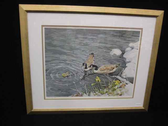 Appraisal: Carolyn Blish offset lithograph ''The Lesson'' geese with young pencil