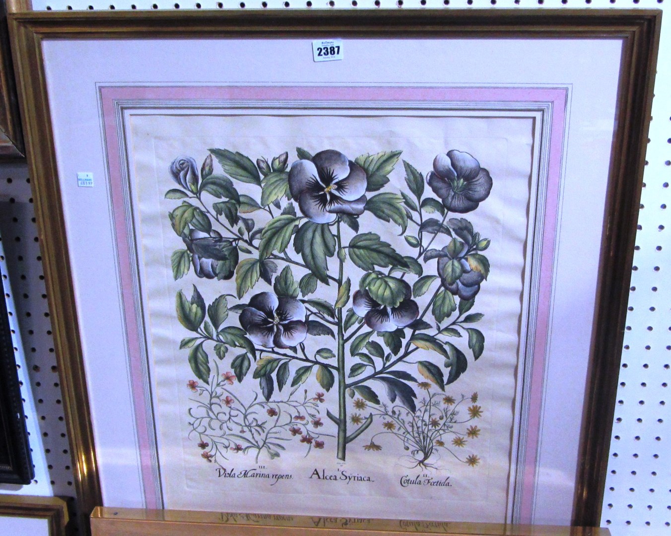 Appraisal: Three modern prints of botanical subjects