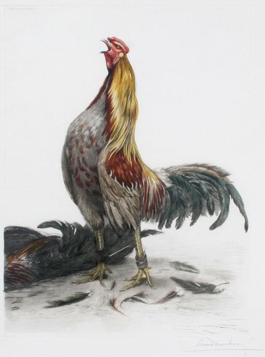 Appraisal: DANCHIN Leon French - Rooster Etching '' x '' sight