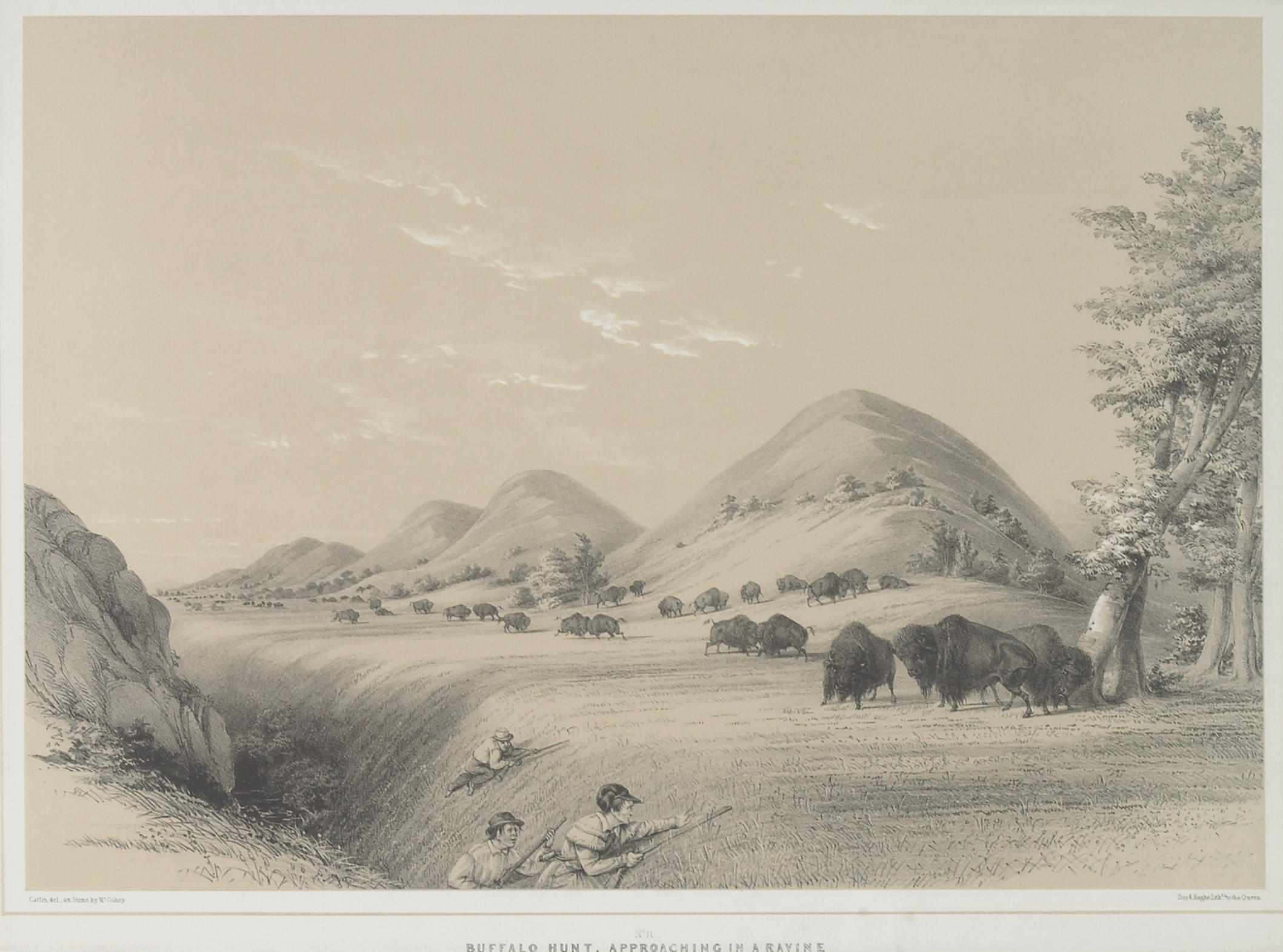 Appraisal: After George Catlin American - Buffalo Hunt Approaching a Ravine