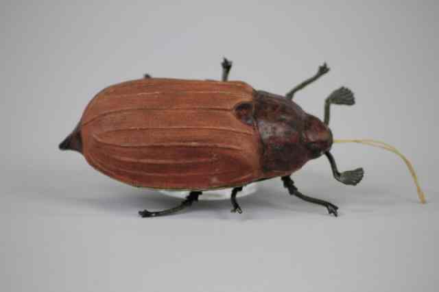 Appraisal: DRESDEN JAPANESE BEETLE CANDY CONTAINER Germany this rare size beetle