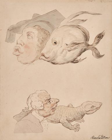 Appraisal: ROWLANDSON THOMAS Physiognomic Portraits Man into fish man into lizard