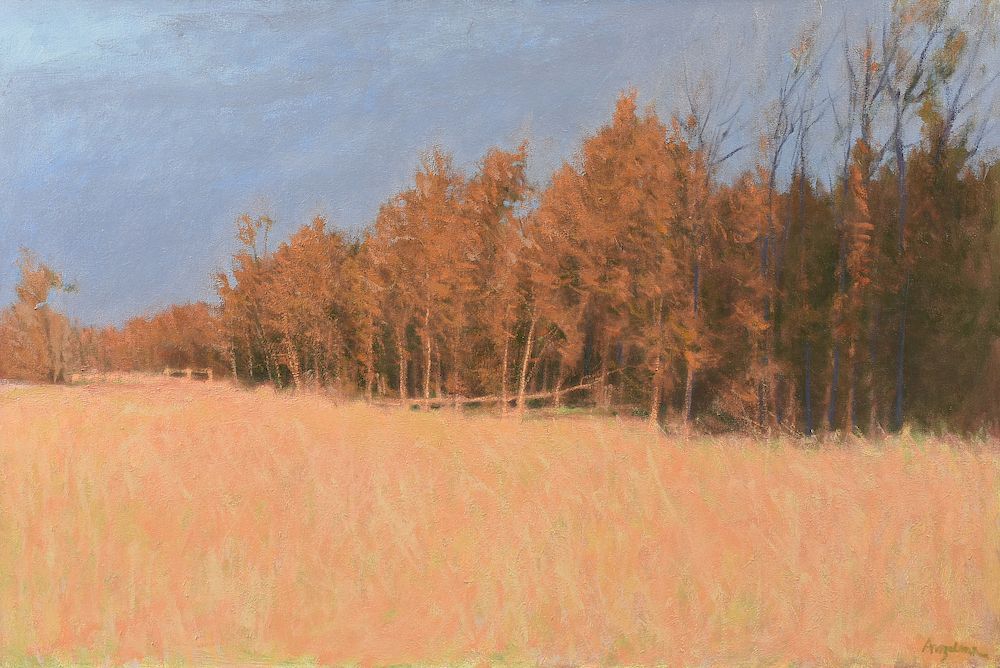 Appraisal: WILLIAM ANZALONE American Texas b A PAINTING Tree Line-Late Afternoon