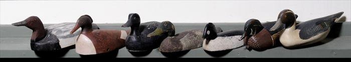 Appraisal: SEVEN PAINTED WOOD DUCK DECOYS Largest in