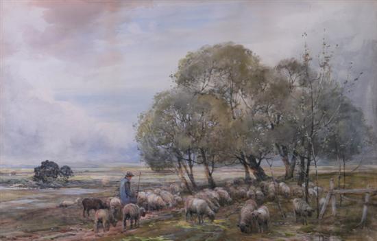 Appraisal: CLAUDE HAYES English - SHEPHERD WITH HIS FLOCK IN A