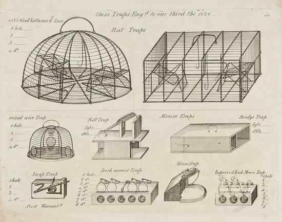 Appraisal: A group of rat traps of various design several shown