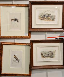 Appraisal: Group of ten bird hand colored lithographs four are from