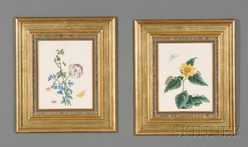 Appraisal: Four Framed Hand-colored Engravings of Moths and Butterflies London c