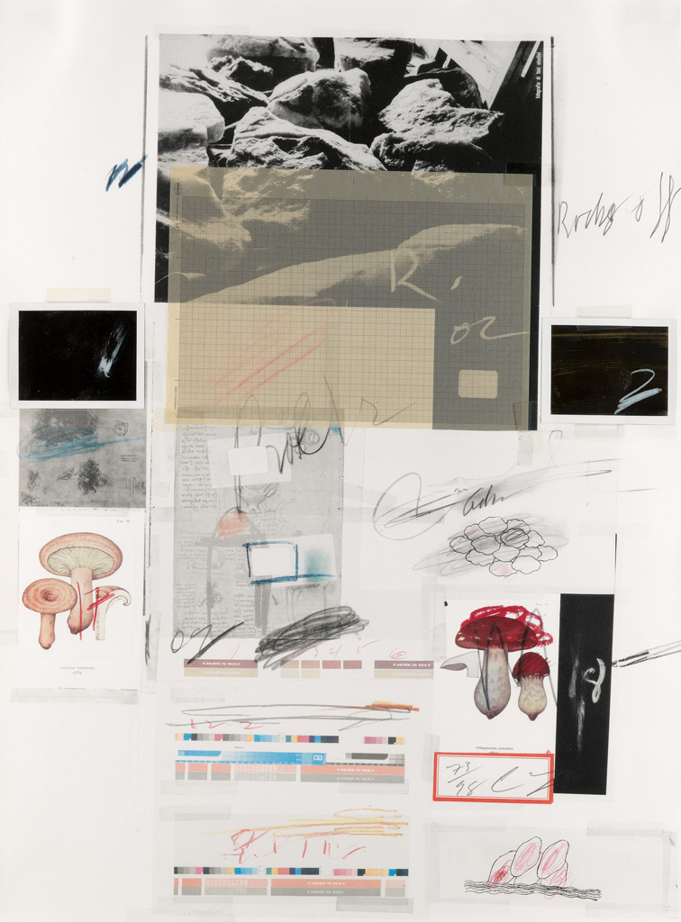 Appraisal: CY TWOMBLY Natural History Part I Mushrooms No X Color