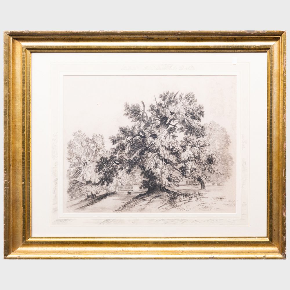 Appraisal: James Stark - English Garden Park Pencil on paper on