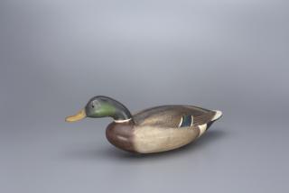 Appraisal: Swimming Mallard Drake Cameron T McIntyre b Swimming Mallard Drake