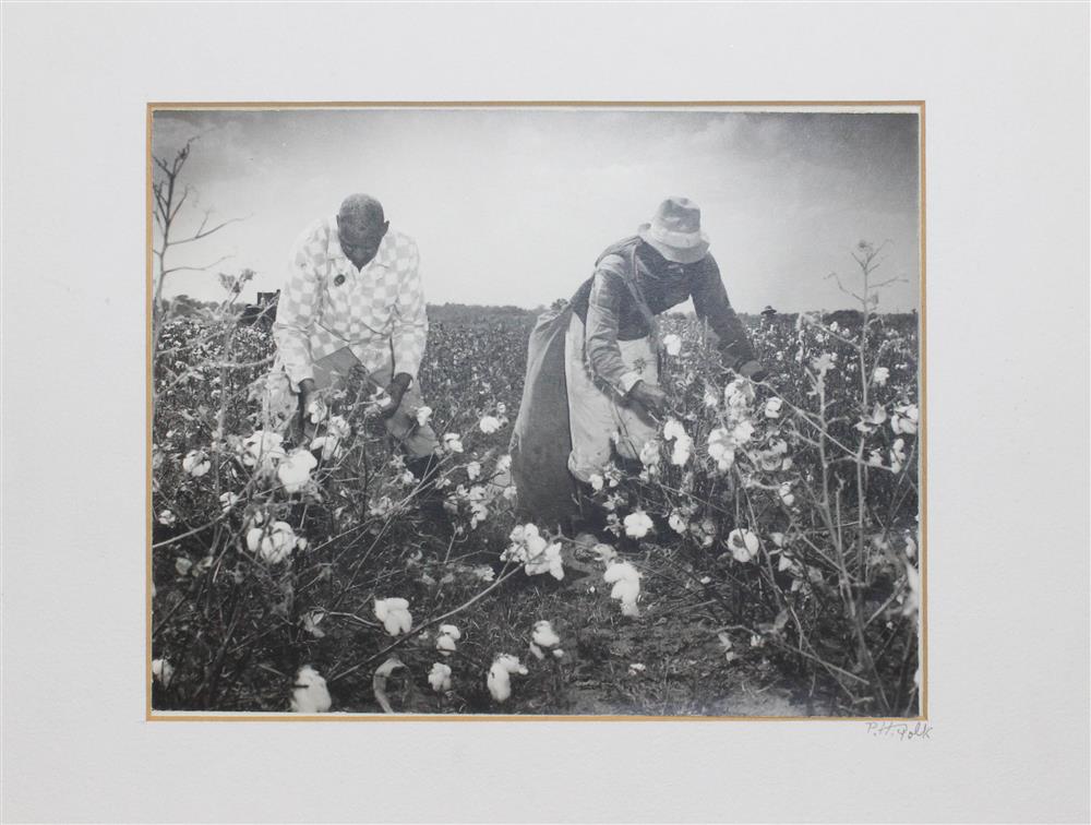 Appraisal: P H POLK AMERICAN - COTTON PICKERS Photograph x in