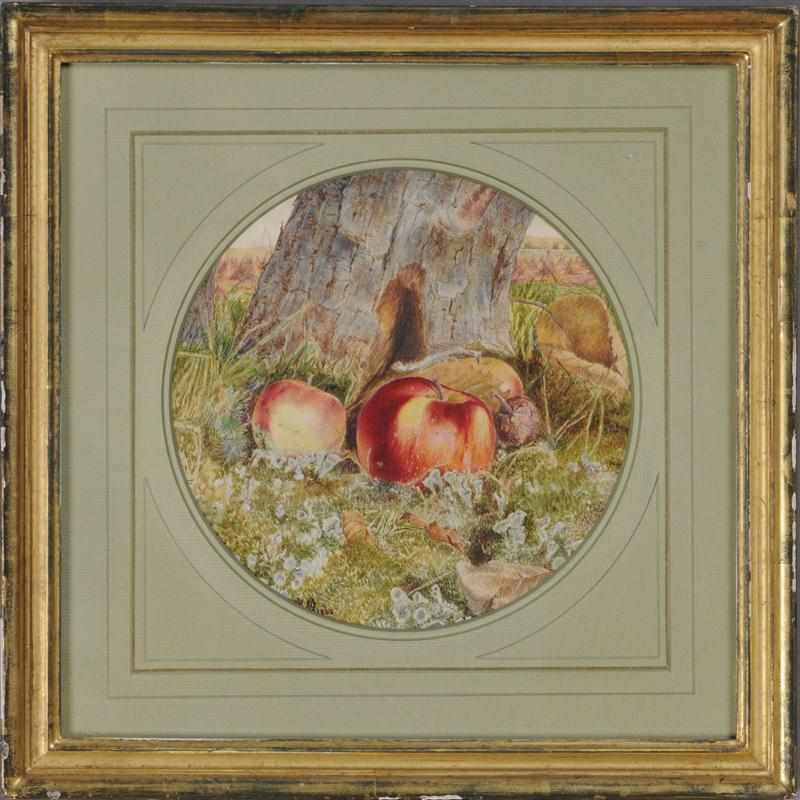 Appraisal: ROBERT BOLLING BRANDEGEE - FALLEN APPLE IN A LANDSCAPE Watercolor