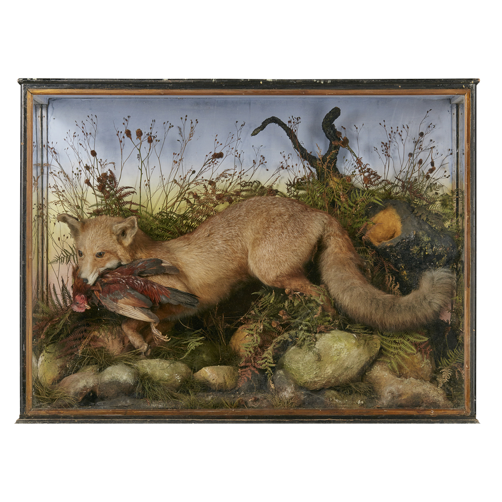 Appraisal: VICTORIAN CASED TAXIDERMY FOX AND HEN DIORAMA TH CENTURY in