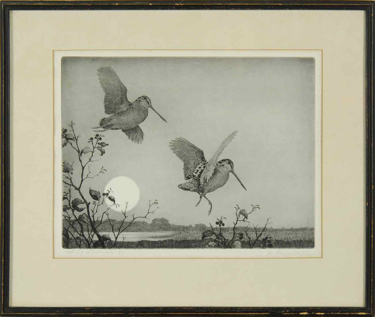 Appraisal: AIDEN LASSELL RIPLEYAmerican - Flight Woodcock'' Signed in pencil in