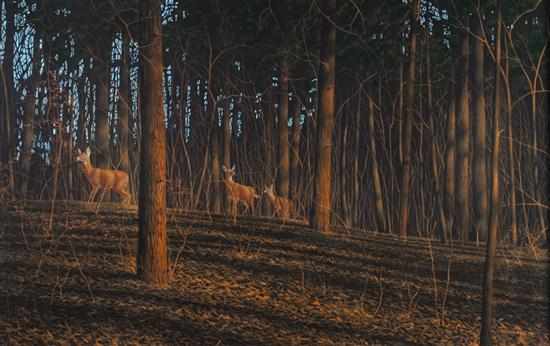 Appraisal: George Goebel American th century Deer in a Maryland Forest