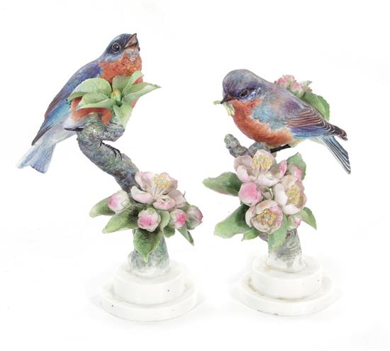 Appraisal: Pair Royal Worcester Dorothy Doughty Bluebirds with Apple Blossoms H