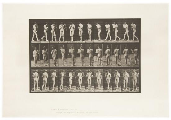 Appraisal: Eadweard Muybridge - Selected plates from Animal Locomotion - Four