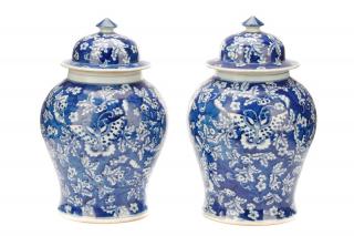 Appraisal: Pair of Chinese Blue White Lidded Jars Chinese th century