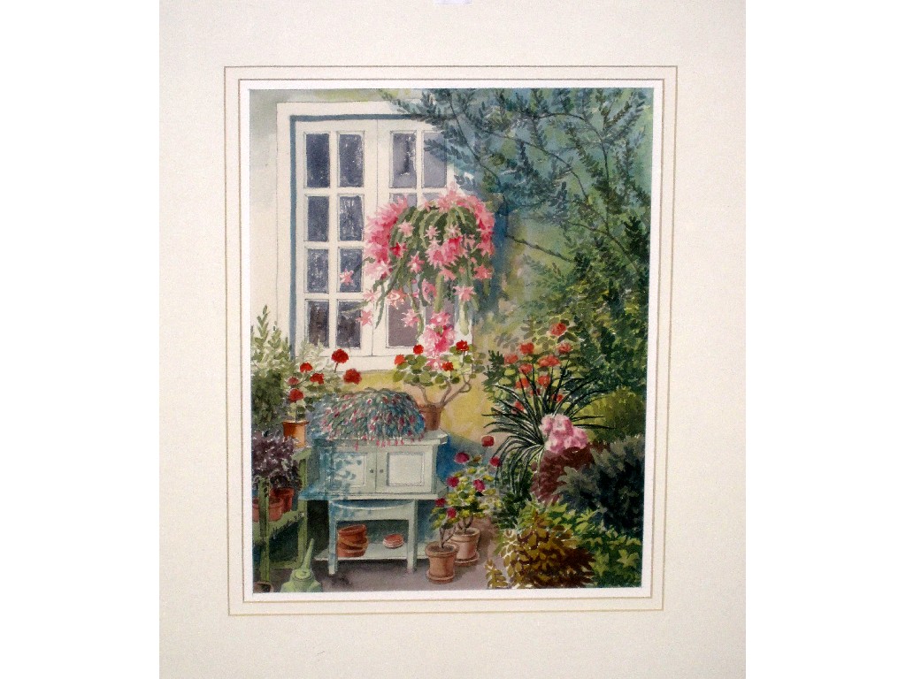 Appraisal: JANE SHANKS Watercolour 'Helen's Epiphyllum' signed recto and labelled verso