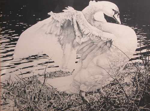 Appraisal: Swan Foto Ilustraciya Nude with Book Rowe Charles th Century