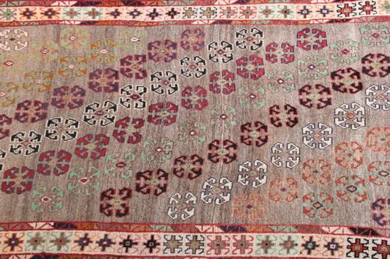 Appraisal: SHIRAZ RUG - ft in x ft in