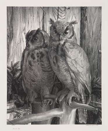 Appraisal: STOW WENGENROTH Group of lithographs Owls Edition of Signed and