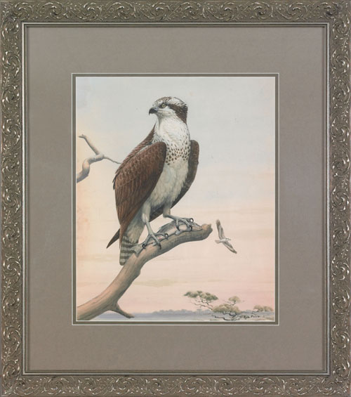 Appraisal: Earl Lincoln Poole American - watercolor of an osprey with