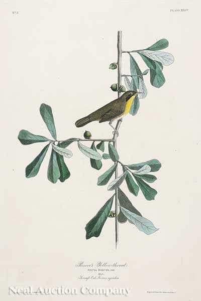 Appraisal: John James Audubon American - Roscoe's Yellow-throat Plate XXIV from