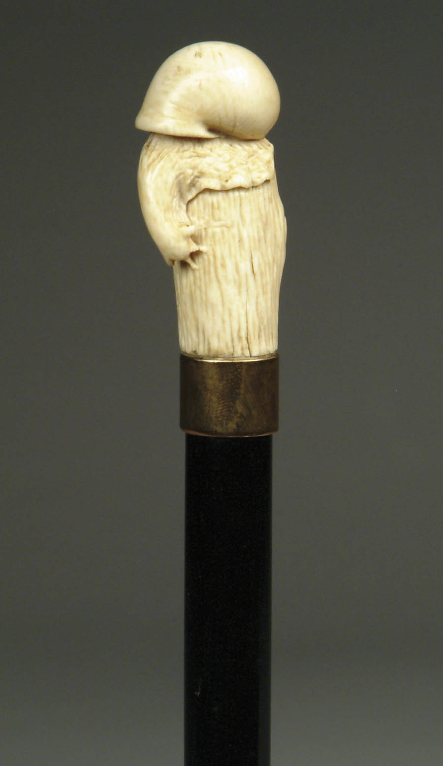 Appraisal: WONDERFUL CARVED IVORY SNAIL CANE Well executed carving of a