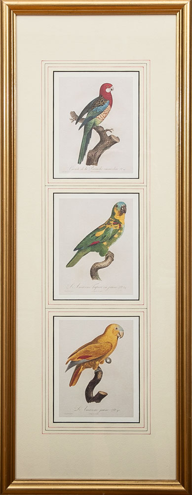 Appraisal: After Jacques Barraband - Six Ornithological Prints Photomechanical reproductions on