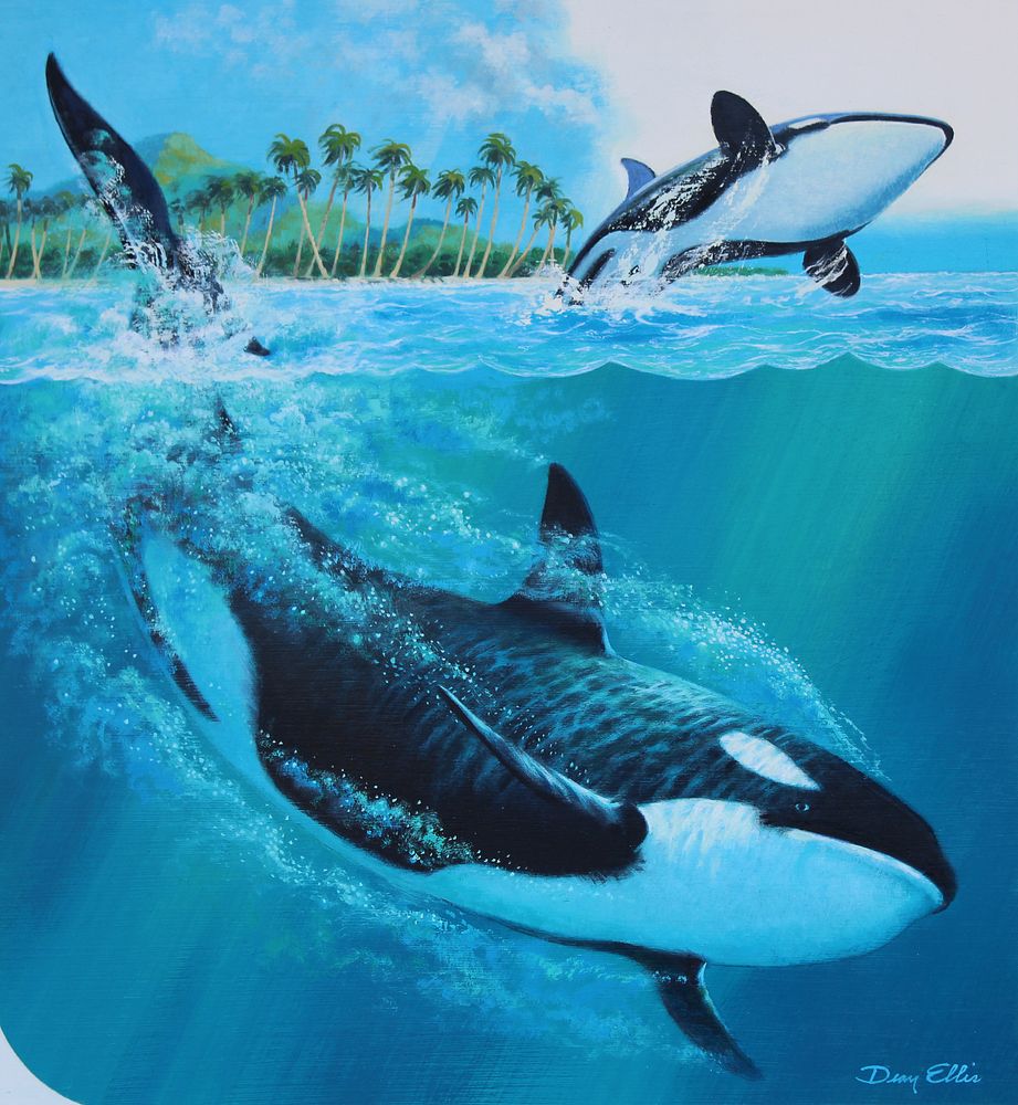 Appraisal: Dean Ellis - Killer Whale Dean Ellis American - Killer