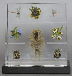 Appraisal: Paul Stankard American b - Assemblage Series - Woodland Bouquet