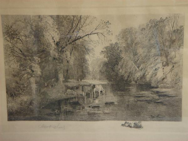 Appraisal: Robert Shaw American - b w etching Cows in the