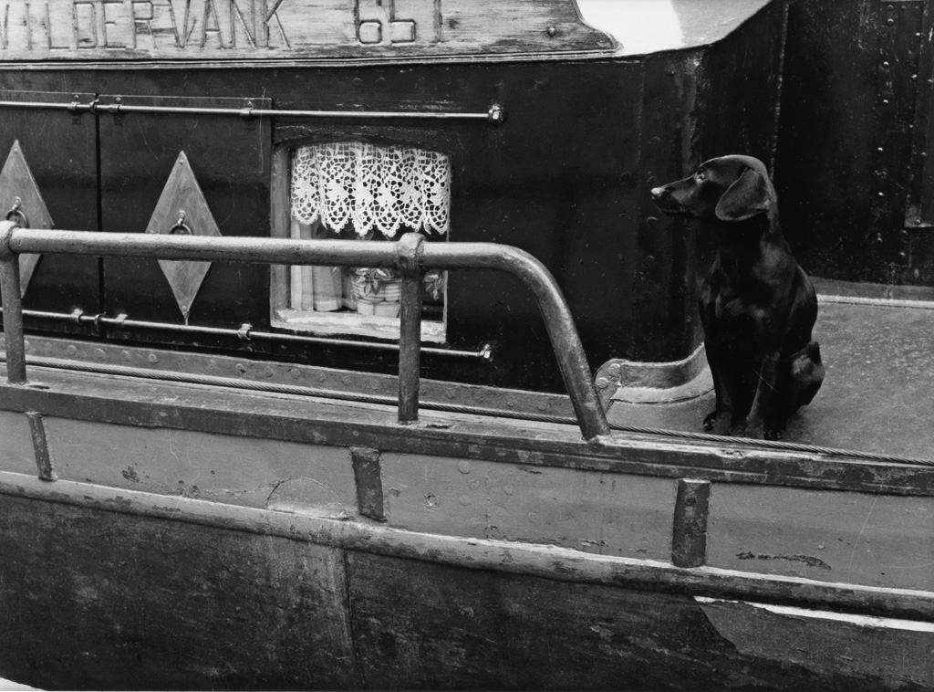 Appraisal: MANUEL ALVAREZ BRAVO - Dog on a houseboat Silver print