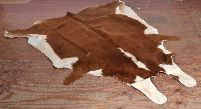 Appraisal: BROWN AND WHITE COW HIDE BROWN AND WHITE COW HIDE