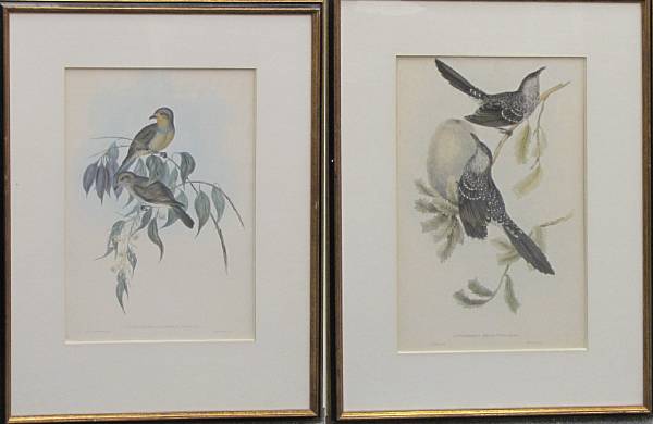 Appraisal: A set of six gilt framed prints of the birds