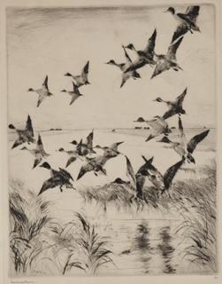 Appraisal: Frank W Benson - Pintails signed Frank W Benson lower