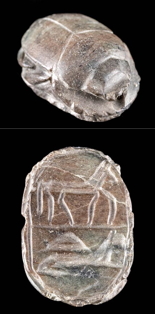 Appraisal: Egyptian Stone Scarab w Incised Animal Motifs Ancient Egypt Third