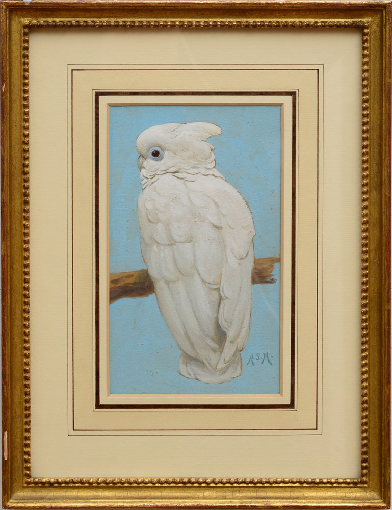 Appraisal: ATTRIBUTED TO HENRY STACY MARKS - A WHITE COCKATOO Gouache