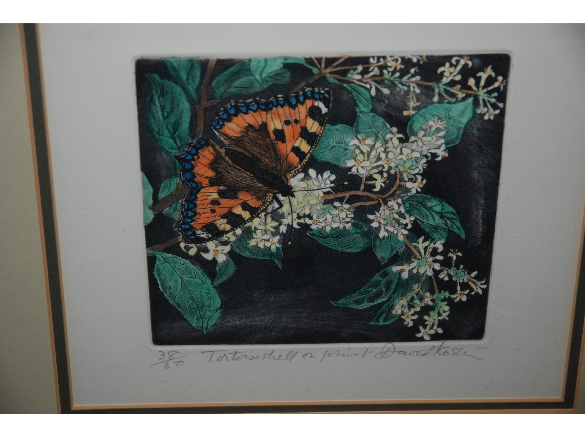 Appraisal: DAVID KOSTER Swallowtail Tortoiseshell on Privet Fritillaria Scarce Swallowtail signed