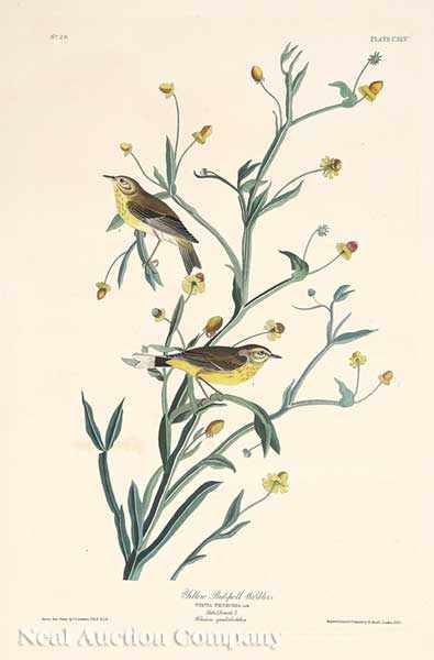 Appraisal: John James Audubon American - Yellow Red Poll Warbler Plate