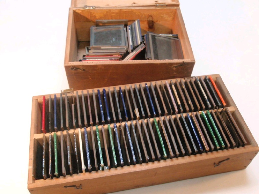 Appraisal: Two cases of photographic glass slides