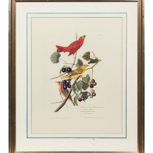 Appraisal: After John James Audubon American - Summer Red Bird Plate