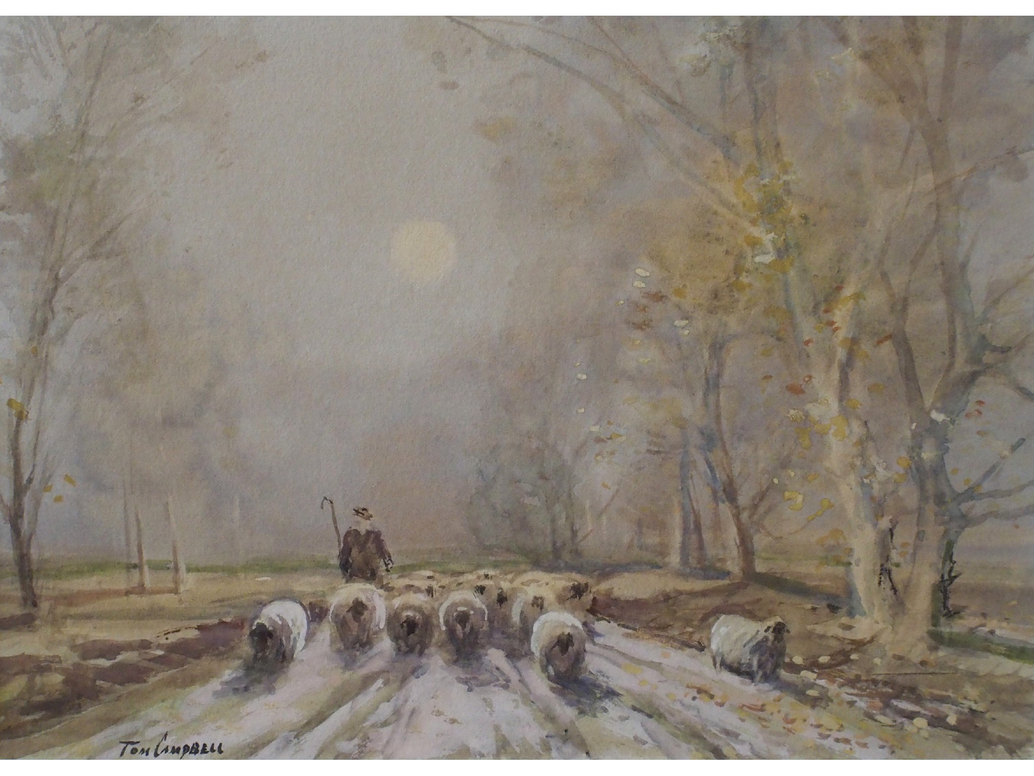 Appraisal: TOM CAMPBELL Scottish - A SHEPHERD AND HIS FLOCKWatercolour and