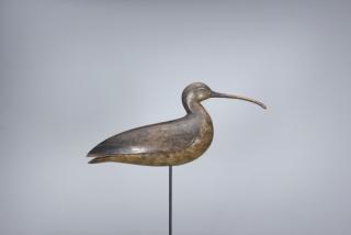 Appraisal: Hollow Curlew Mark S McNair b Hollow Curlew Mark S