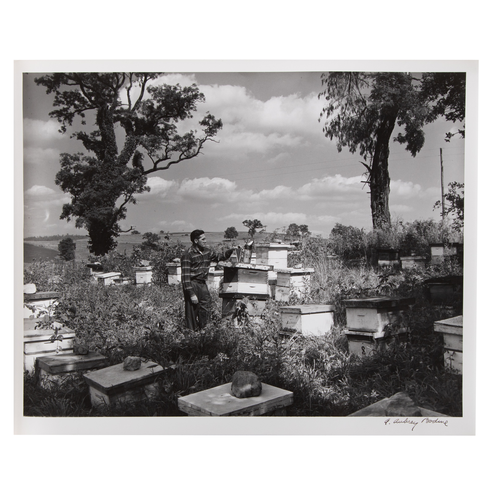 Appraisal: A AUBREY BODINE BEE KEEPER GELATIN SILVER PRINT American -