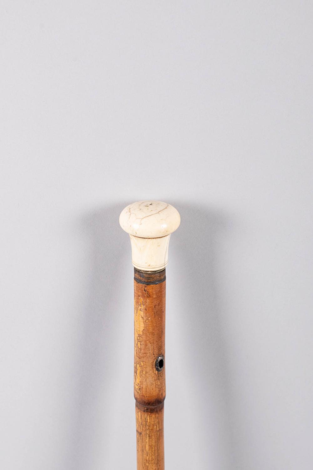 Appraisal: SENATOR JOHN W WARNER'S WALKING STICK WITH BONE KNOB HANDLE