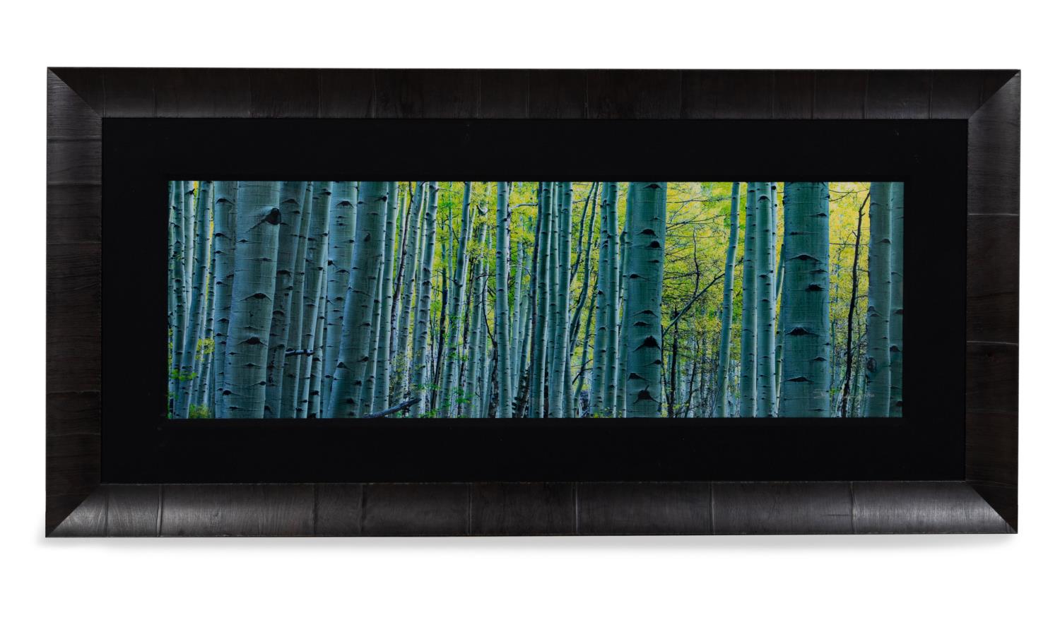 Appraisal: PETER LIK ENDLESS BIRCHES PHOTOGRAPH Peter Lik Australia b Endless